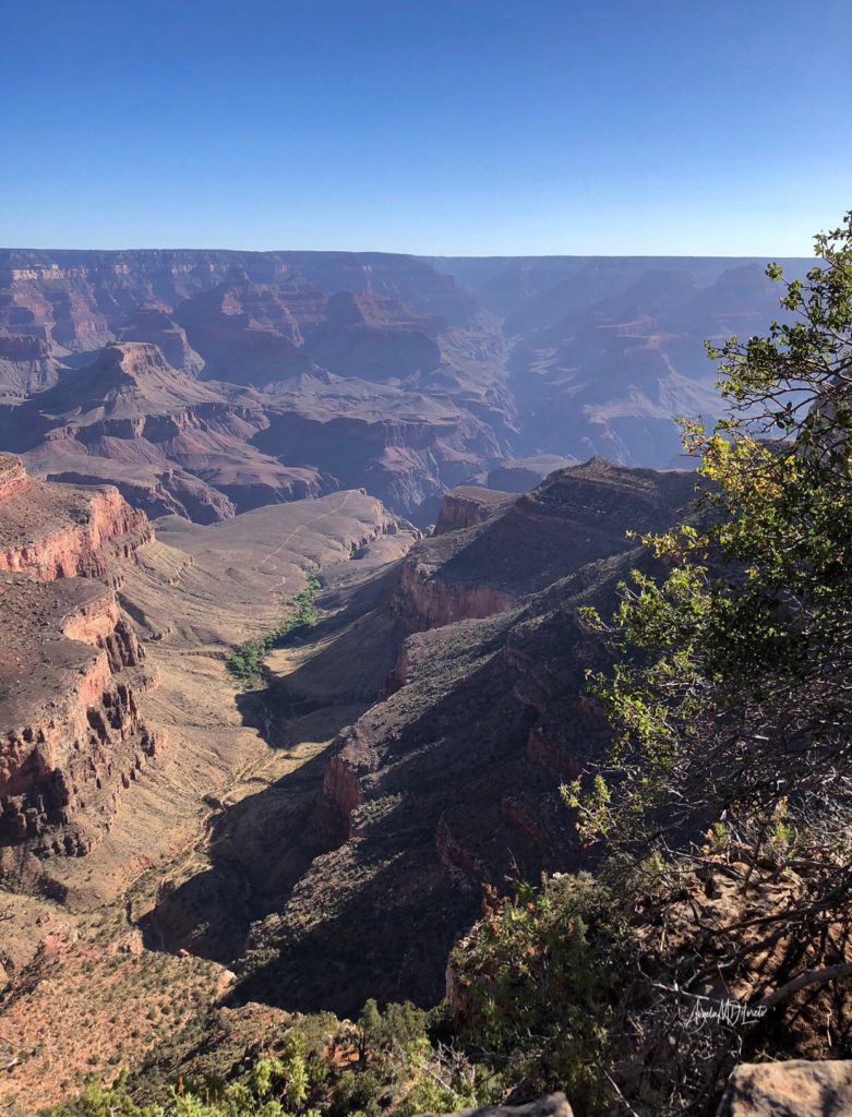 How to Explore the Grand Canyon: A Complete Guide