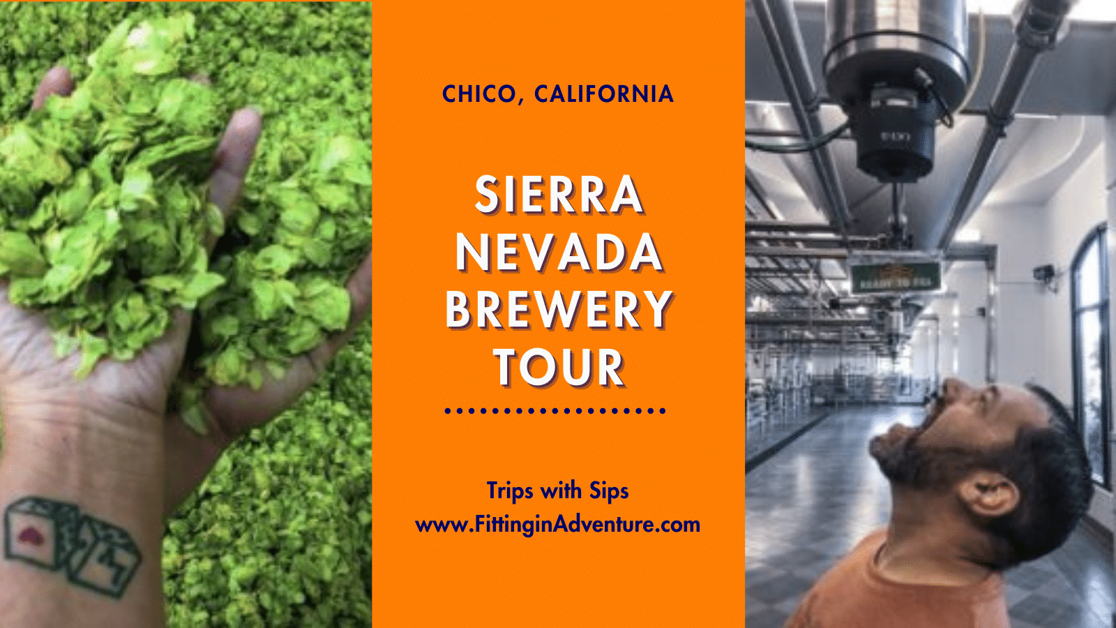 Touring Chico S Sierra Nevada Brewery   Sierra Nv Brew Post 