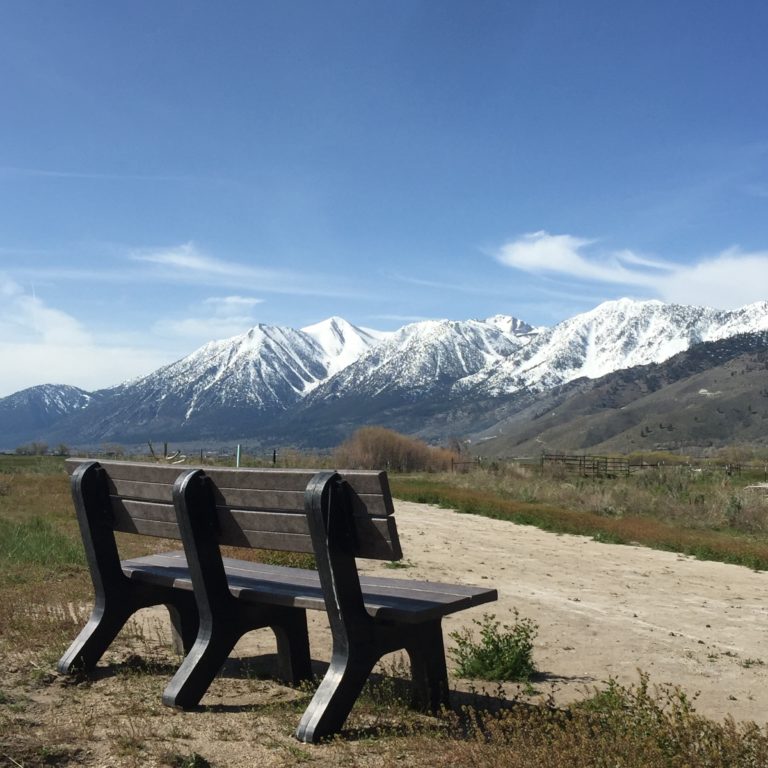 Carson Valley Bench