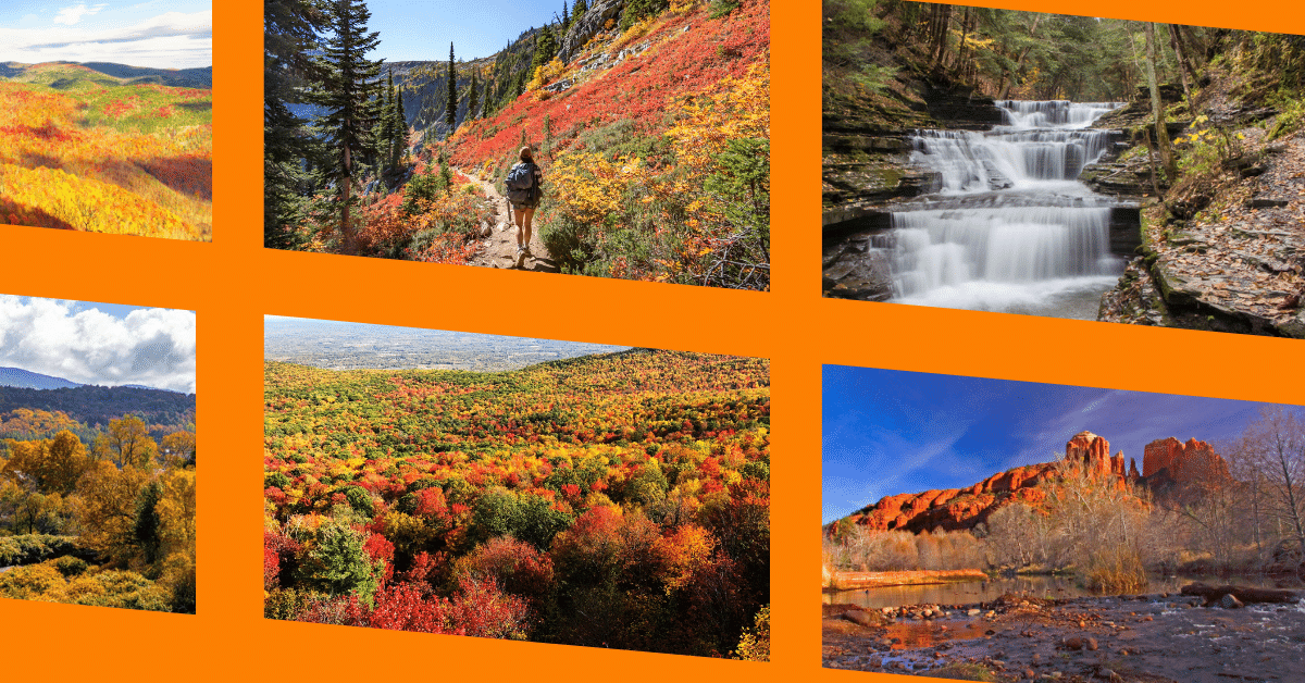 Travel Writers Share the Best Places for Leaf Peeping in the USA