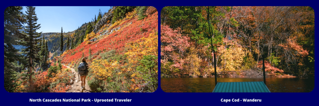 Fall Colors of North Cascades National Park and Cape Cod