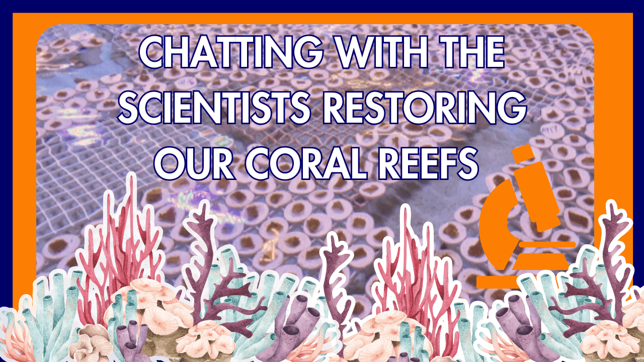 Inside the Florida Keys Lab's Battle to Rescue Coral Reefs! - Fitting ...