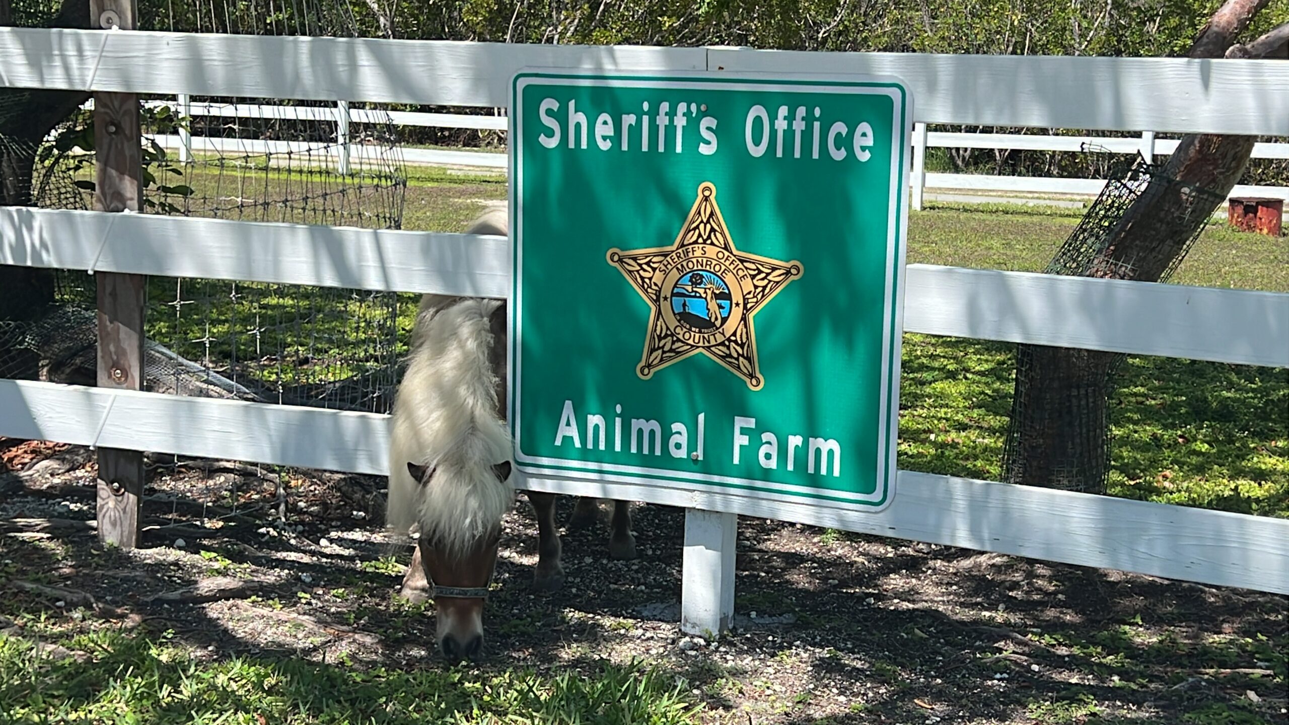 Monroe County Animal Farm sign with min horse
