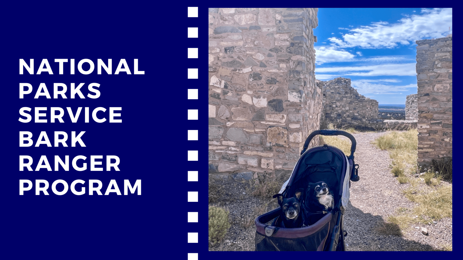 Bark Ranger: Exploring National Parks with Your Dog