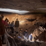 Mammoth Cave National Park tours