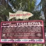 Homosassa Springs