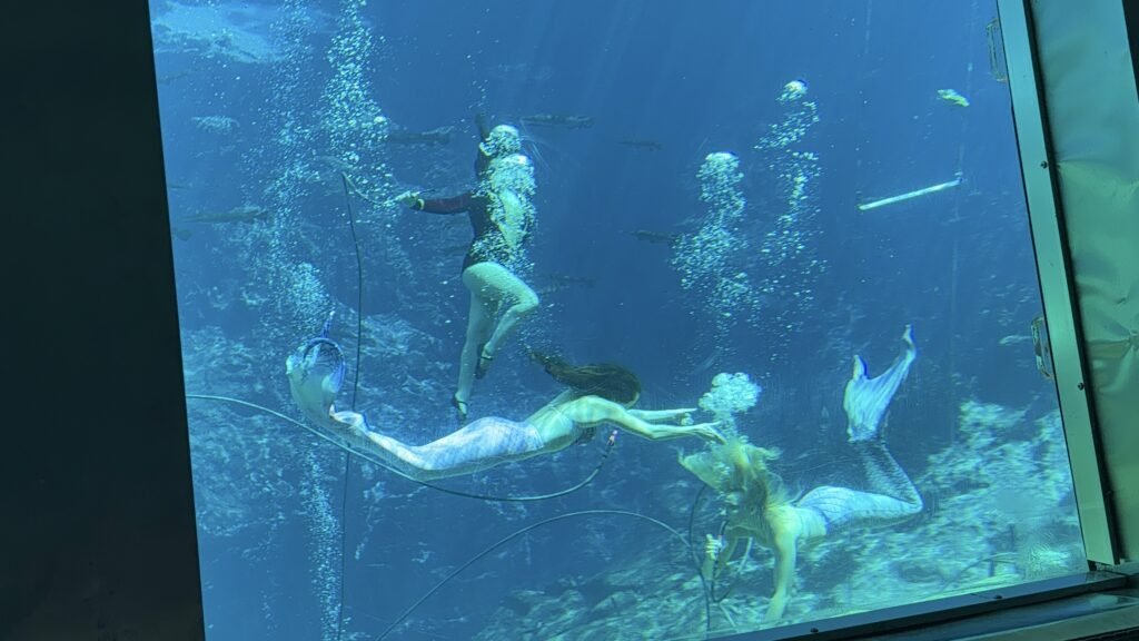 Weeki Wachee Mermaid Show