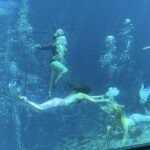 Weeki Wachee Mermaid Show