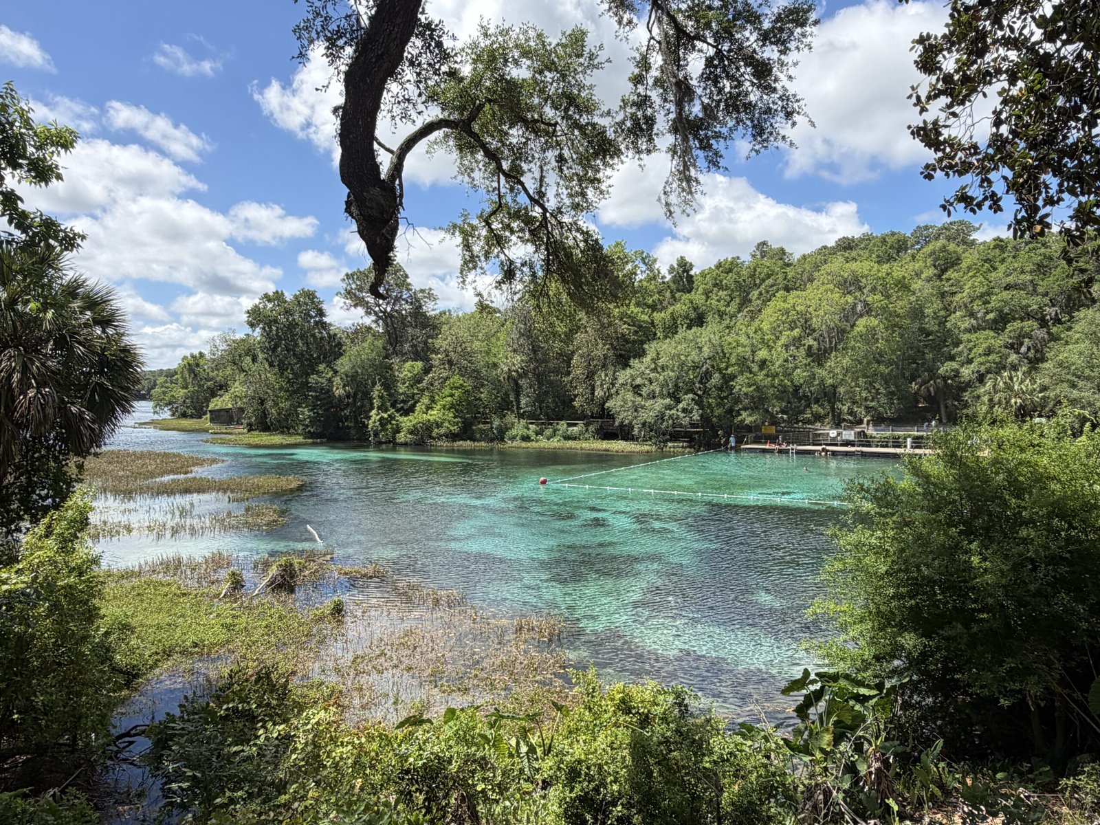 RAINBOW SPRINGS STATE PARK