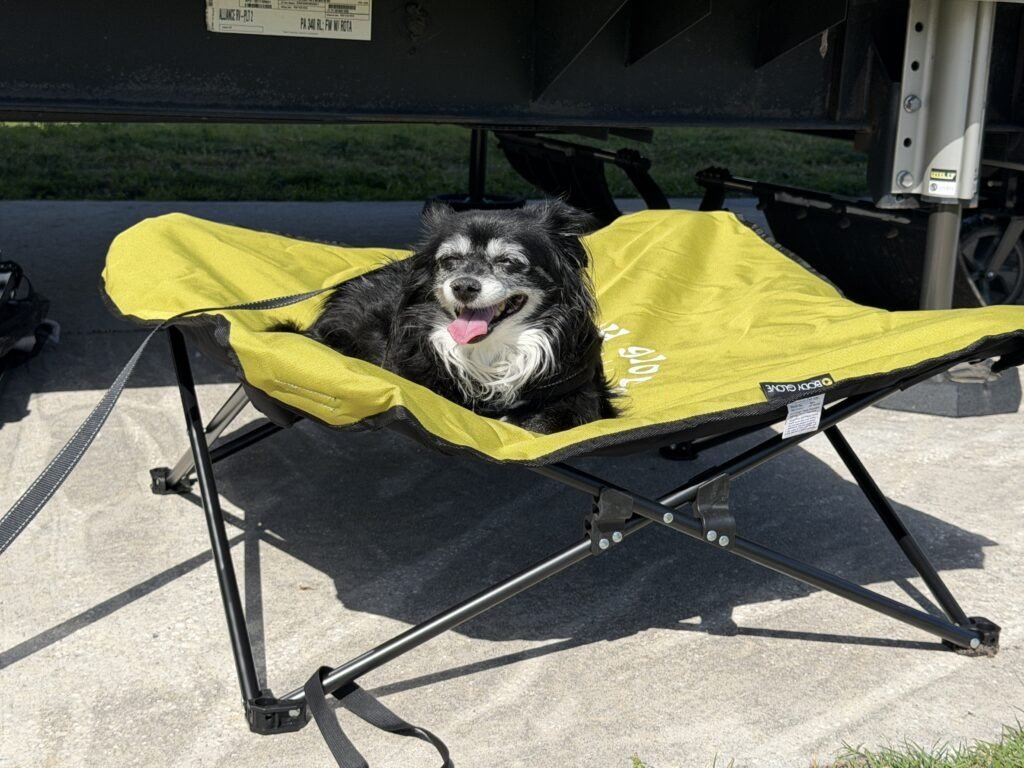 pet cot with black dog in front of an RV 