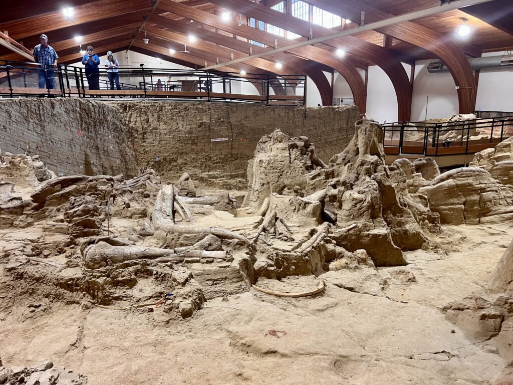 Hot Springs Mammoth Site