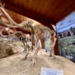 Hot Springs Mammoth Site
