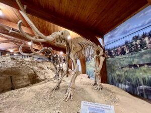 Hot Springs Mammoth Site