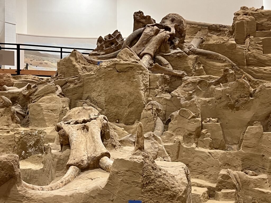 Hot Springs Mammoth Site