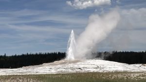 Old Faithful in Yellowstone National Park