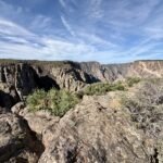 Black Gunnison