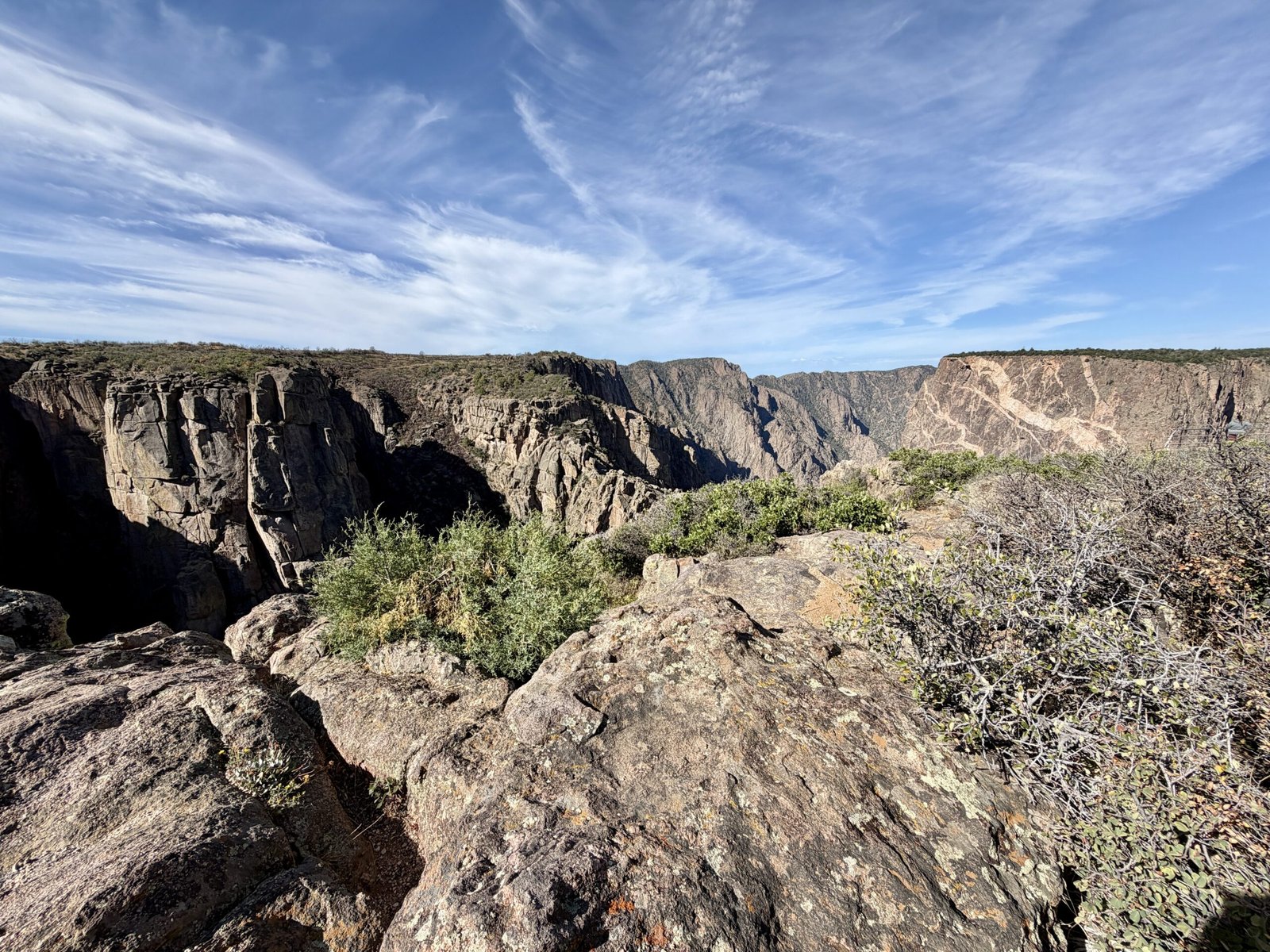 Black Gunnison