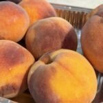 Palisaides CO peaches