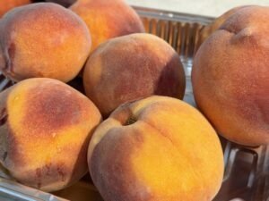 Palisaides CO peaches